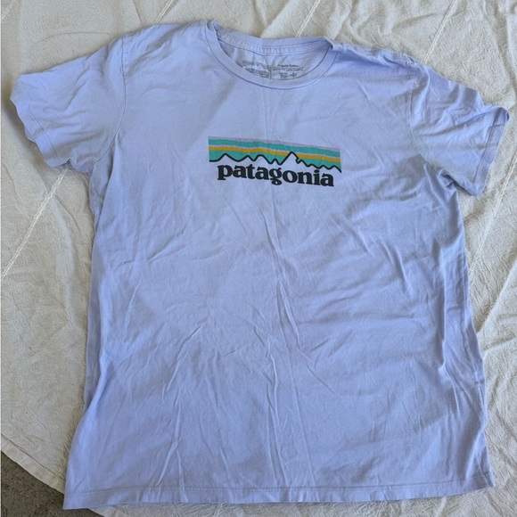 Patagonia Short Sleeve Tee - Picture 1 of 3